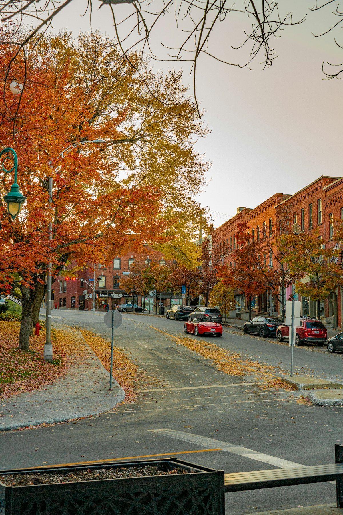 Charming autumn street scene with brick buildings and fall foliage